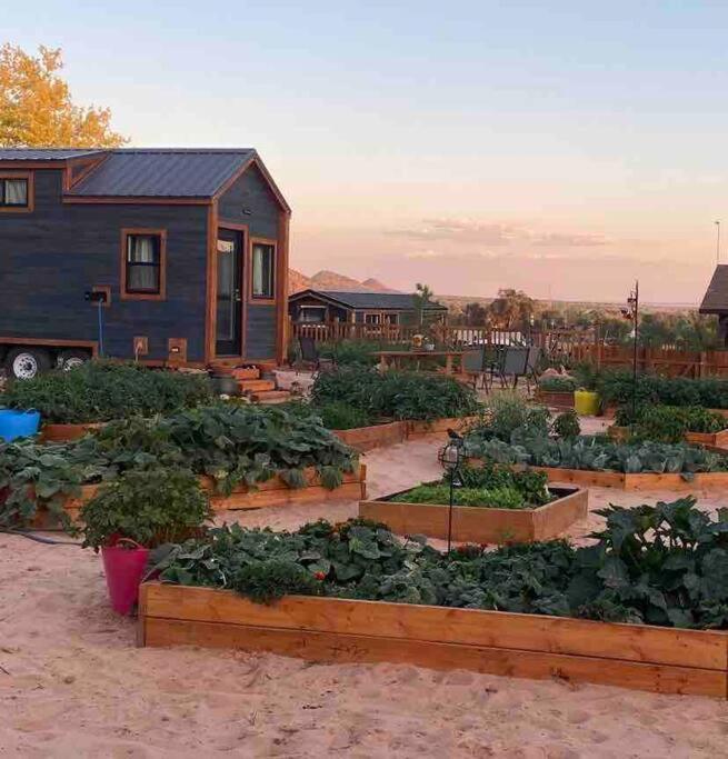 Atlantis Garden Tiny Home Hildale Exteriér fotografie