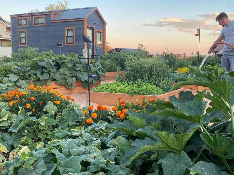Atlantis Garden Tiny Home Hildale Exteriér fotografie