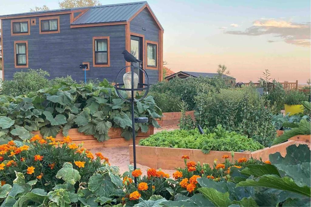 Atlantis Garden Tiny Home Hildale Exteriér fotografie