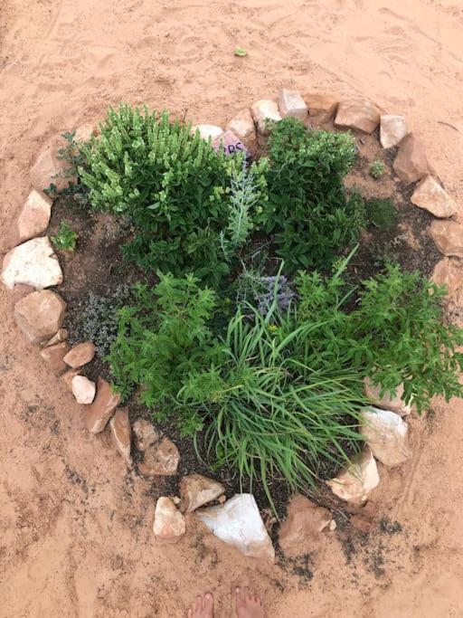 Atlantis Garden Tiny Home Hildale Exteriér fotografie